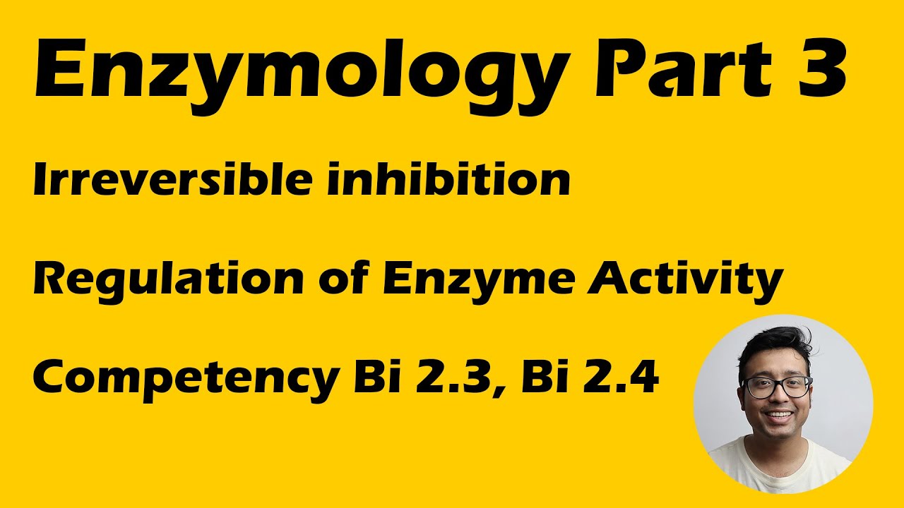 Enzyme Part 3 : Irreversible Inhibition and Regulation of Enzyme Activity. BI 2.3 BI 2.4