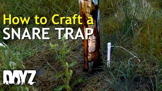 How to Craft a Snare Trap - A DayZ Guide