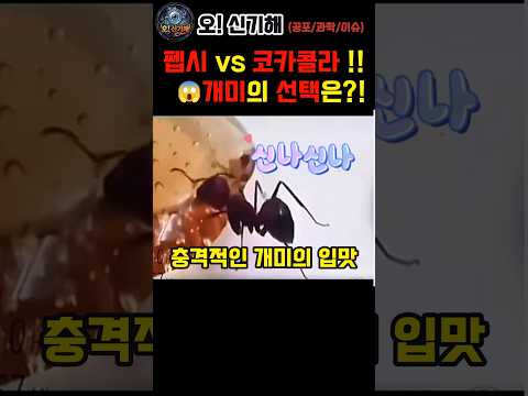 😱펩시vs코카콜라🐜개미의 선택은? #amazing #issues #신기한사실  #과학쇼츠 #신기한 #상식 #실험  #놀라운  #쇼츠 #이건몰랐지 #이거실화냐 #이슈 #shorts