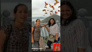 🐦 🐦 🐦 #niceview #birds