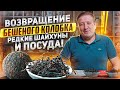 ВОЗВРАЩЕНИЕ БЕШЕНОГО КОЛОБКА! РЕДКИЕ ШАЙХУНЫ И ПОСУДА!