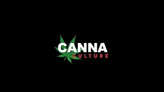 Things you NEED to know if you want to grow cannabis!!!!!
