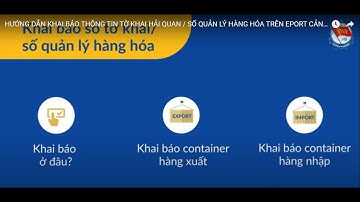 HƯỚNG DẪN KHAI BÁO THÔNG TIN TỜ KHAI HẢI QUAN / SỐ QUẢN LÝ HÀNG HÓA TRÊN EPORT CẢNG CÁT LÁI.