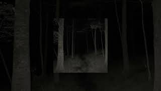 Vandalism - Bleach Super Slowed