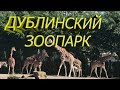 DUBLIN ZOO-ДУБЛИНСКИЙ ЗООПАРК