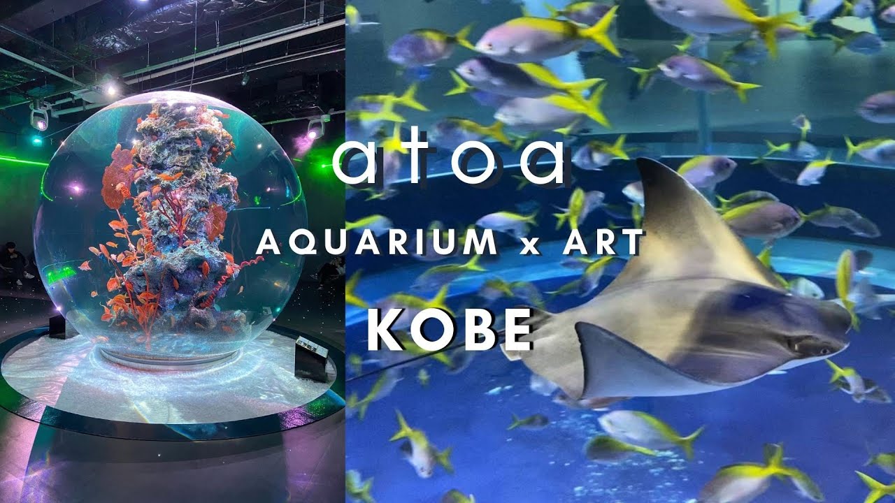 atoa Aquarium x Art in KOBE YouTube