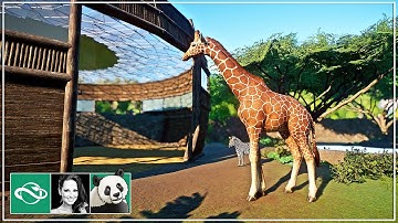 I Built a Mixed Giraffe, Zebra & Ostrich Habitat in Planet Zoo