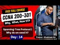 14 free ccna 200301 full course  spanningtree protocol stp  ccna full course training 2024