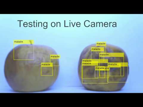 Camera based infection detection