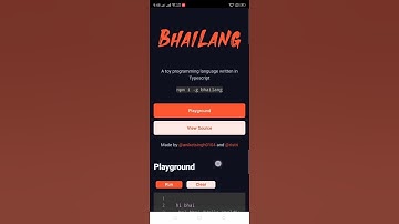 Bhailang Programming Language | For Bhai log 😂😂 #Bhailang #programming #fun #short