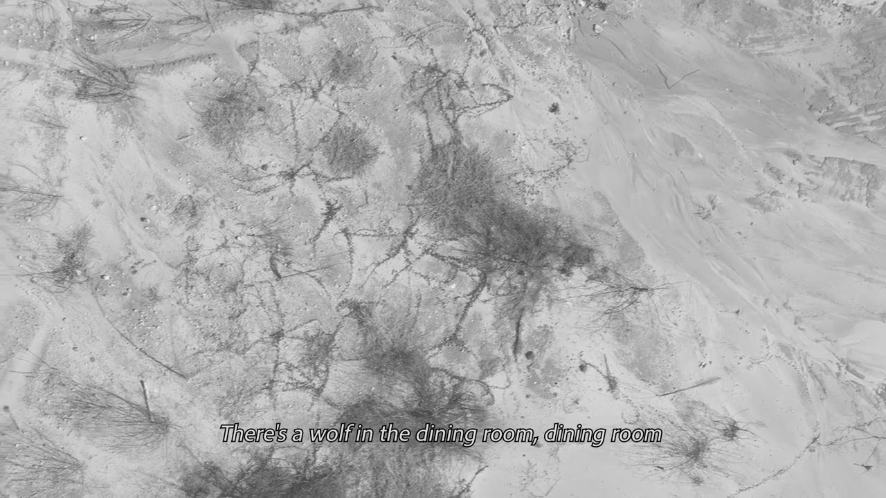 St. Paul & The Broken Bones - Wolf in Rabbits Clothes (Official Audio)