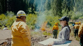 Banned for 100 years, cultural burns could save sequoias | Save the Redwoods League