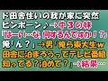 田舎の一軒家にピンポーン!妹「はーい…な、何するんですか!」俺「どうした!」→男「オレら、東大生w」「田舎に泊まろうってテレビ知ってる?泊めて?」→すると親父が「 」結果・・・