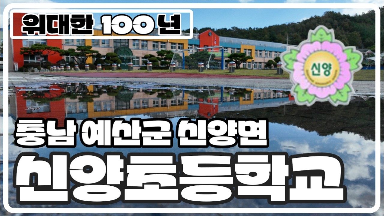 [위대한100년] 충남 예산군 신양면 신양초등학교