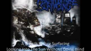 Barbaric Brutal Fucking Breakdowns #8