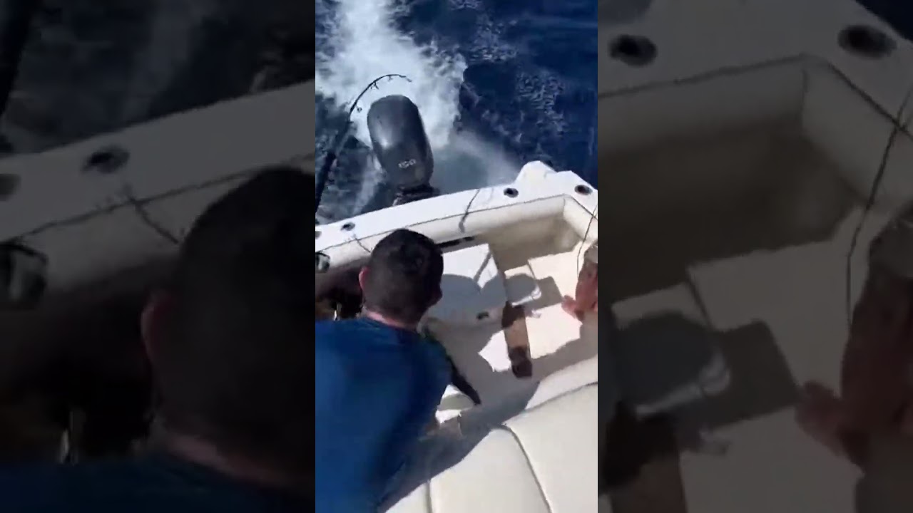 Giant Tuna Jumps Into Our Boat (RAW Handheld Footage)