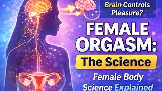 Female Orgasm Explained | Anatomy & Brain Connection. Explained | Science | Biology | Facts
