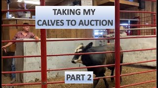 RAISING BEEF CATTLE FOR BEGINNERS – Taking My Calves to Auction (Part 2)