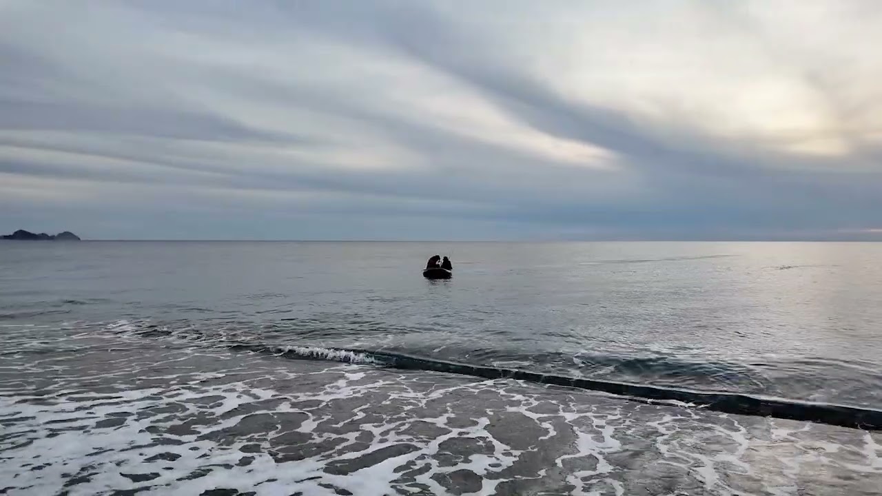 Bot ile balık avı dönüşü 🇹🇷