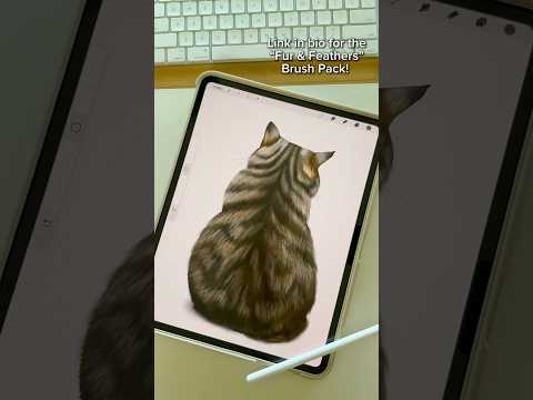 Procreate Fur Tutorial #procreate #beginnerarttips #procreatepainting