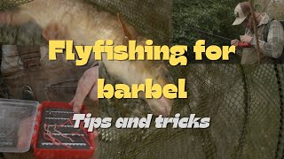 Flyfishing for barbel : barbel on the fly