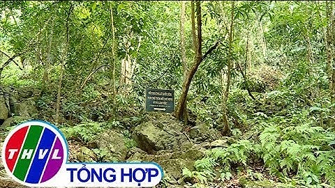 Suối nguồn Pác Bó