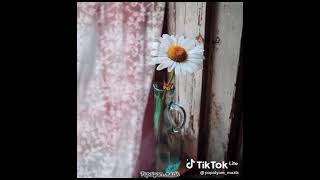 Whatsapp Ucun Maraqli Statuslar Sevgiye Aid Video Sounds App 2021 Status Ucun Video,Menali Video