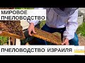 МИРОВОЕ ПЧЕЛОВОДСТВО// ПЧЕЛОВОДСТВО В ИЗРАИЛЕ