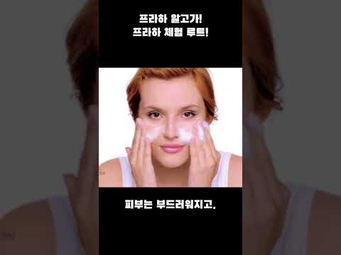 맥주로 씻고, 마시고, 즐긴다 — 진짜 프라하 체험 루트🍺