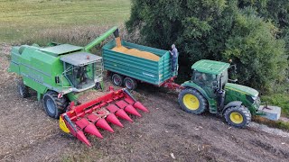 Berba kukuruza - John Deere 6130R + Farmtech, Zetor, Deutz Fahr Topliner 4065 - Corn Harvest 2021.