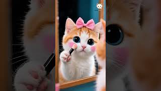 Cute Scene Moments with My Meow Sunny Cats 🐾