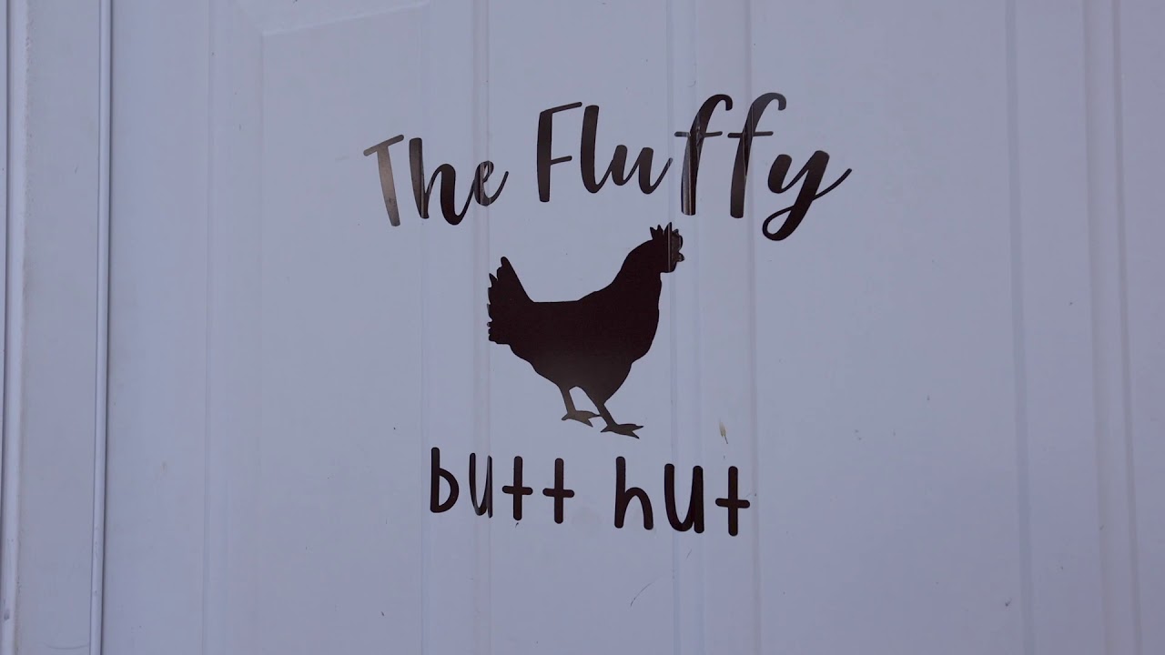 9304 Morning Glory Rd Sneak Peek YouTube