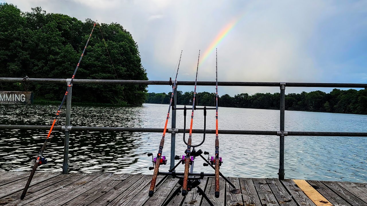 Live Night Fishing For Carp (Fishing In The Rain) YouTube