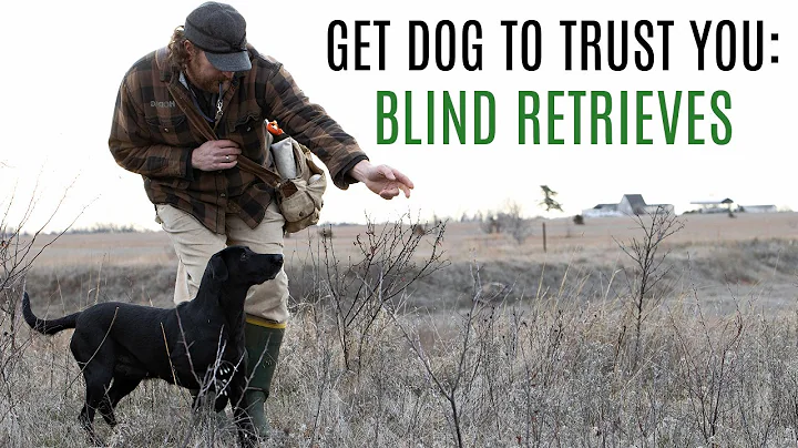 GunDog Training Blind Retrieves: Get Your Dog to Trust You