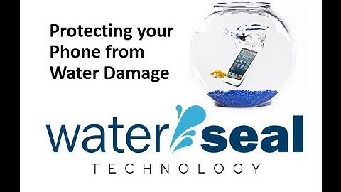 Indiegogo Campaign Video