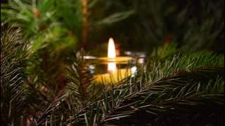 Top 82 Christmas Songs and Carols with Lyrics 2021 🎅