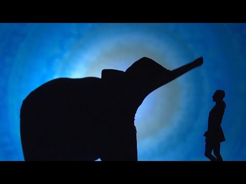 Video: Ninja: Ungewöhnliche Krieger Des Landes Der Schatten - Alternative Ansicht