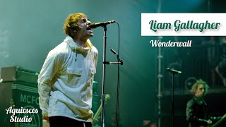 Liam Gallagher Wonderwall Live Knebworth 22&#39;