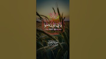 إن الله وملائكته يصلون على النبي.. #ياسر_الدوسري #سورة_الأحزاب #ريحانة_قرآن #تلاوات #قرآن #ستوريات