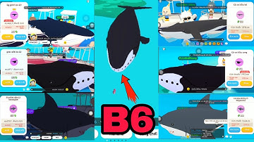 PLAY TOGETHER | Câu Cá Voi Đầu Cong, Cá Mập Megalodon, Cá Voi Lưng Gù Cùng Team | CÁ Play