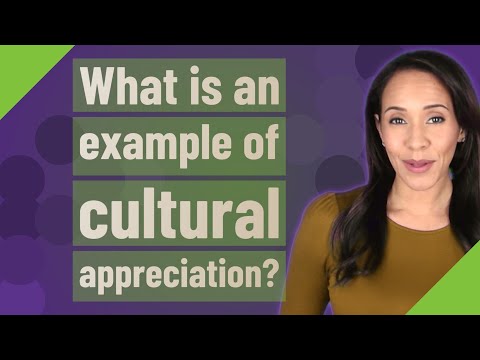 What is an example of cultural appreciation?