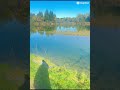 #germany #nature #lifeisbutadre#love #duet #duet #song #follow #lickadaychallenge #youtuber #youtub