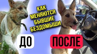 Бездомыши ДО и ПОСЛЕ того как попали в семью | Счастливые инвалиды и не только | Часть - 1