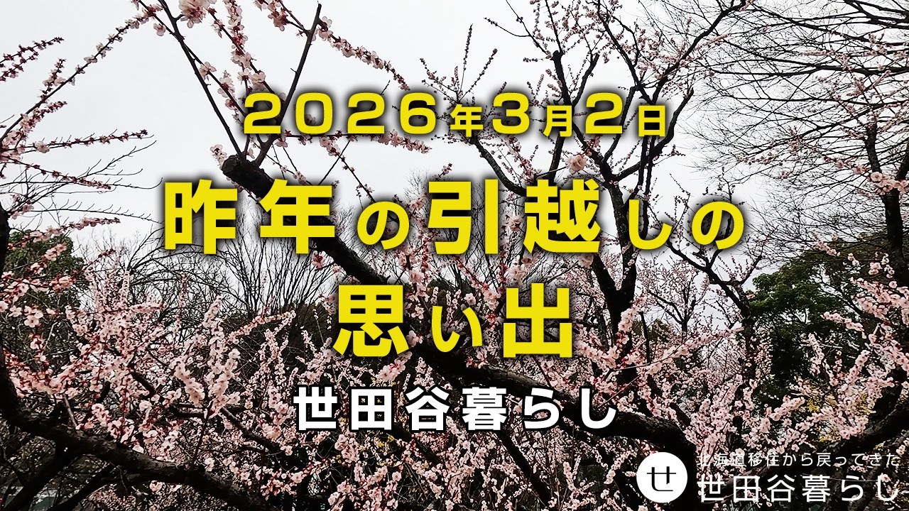 世田谷散歩｜砧公園で昨年の引越しの時の思い出話をしています。
