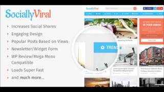 best wordpress RTL themes