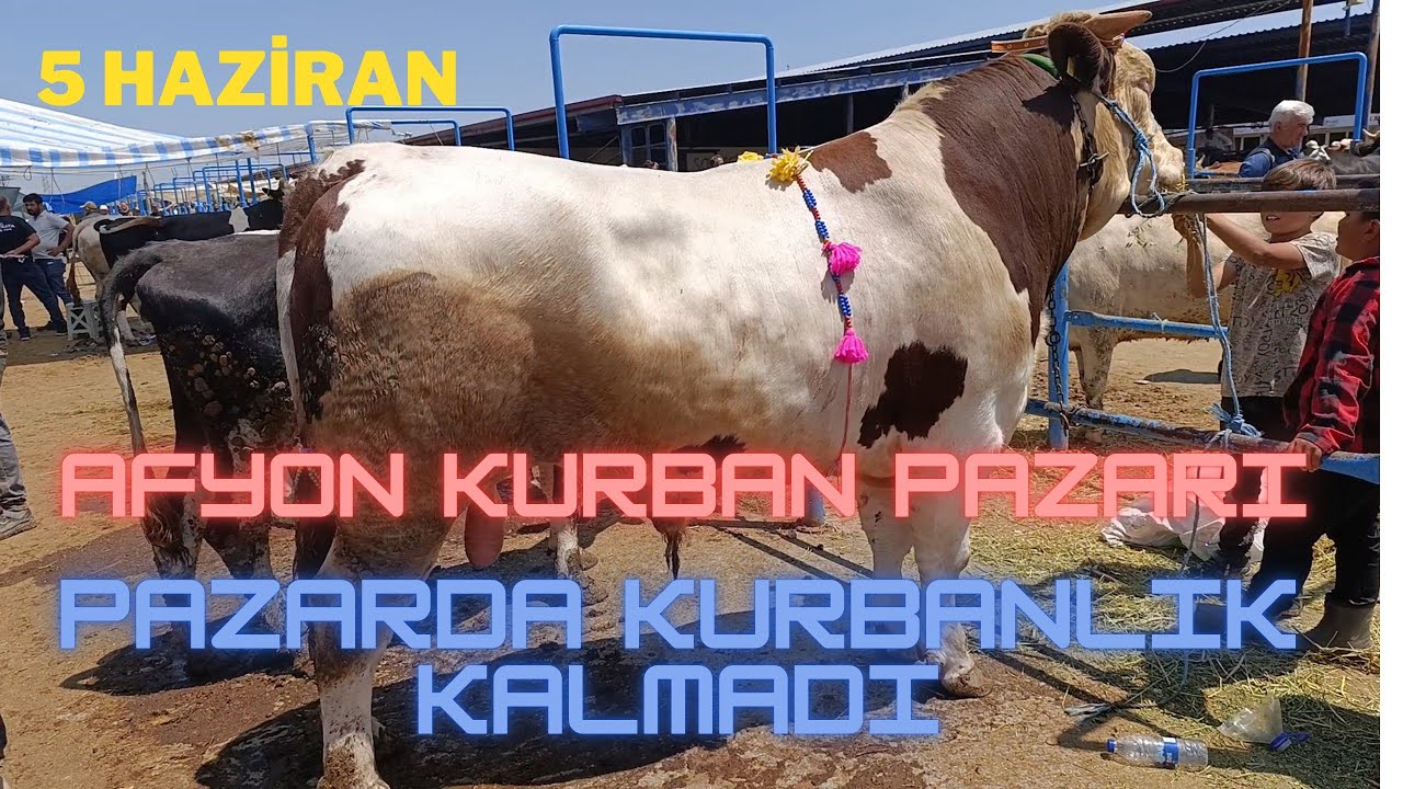 AFYON KURBAN PAZARI 5 HAZİRAN 2025 PAZARDA KURBANLIK KALMADI!!! GÜNCEL KURBANLIK FİYATLARI