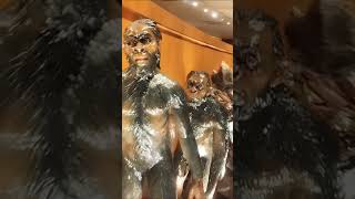 Theory of evolution | exhibition | विकासवाद का सिद्धांत | Paleozoic | Mesozoic | evolution of life