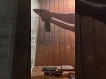 I thought it jammed🤣🤣 #viralvideo #gunshorts #pewpew #rangeday #airsoft #binarry #glock17gen5
