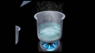 Distilled Water Demonstration