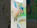 जिंदगी की सच्ची बातें 🙏💞👍